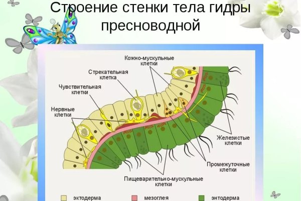 Кракен зеркало на тор