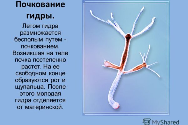 Кракен вход kraken4supports