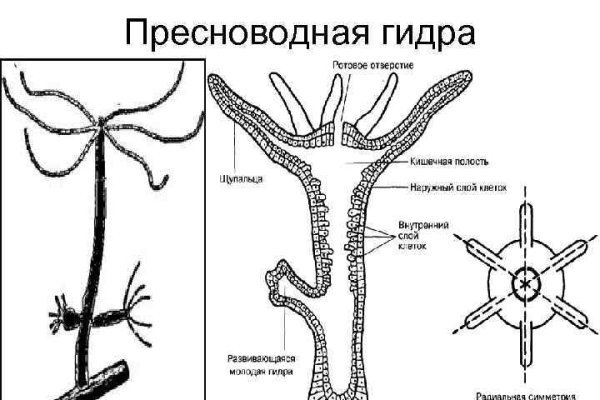 Кракен наркоз магазин